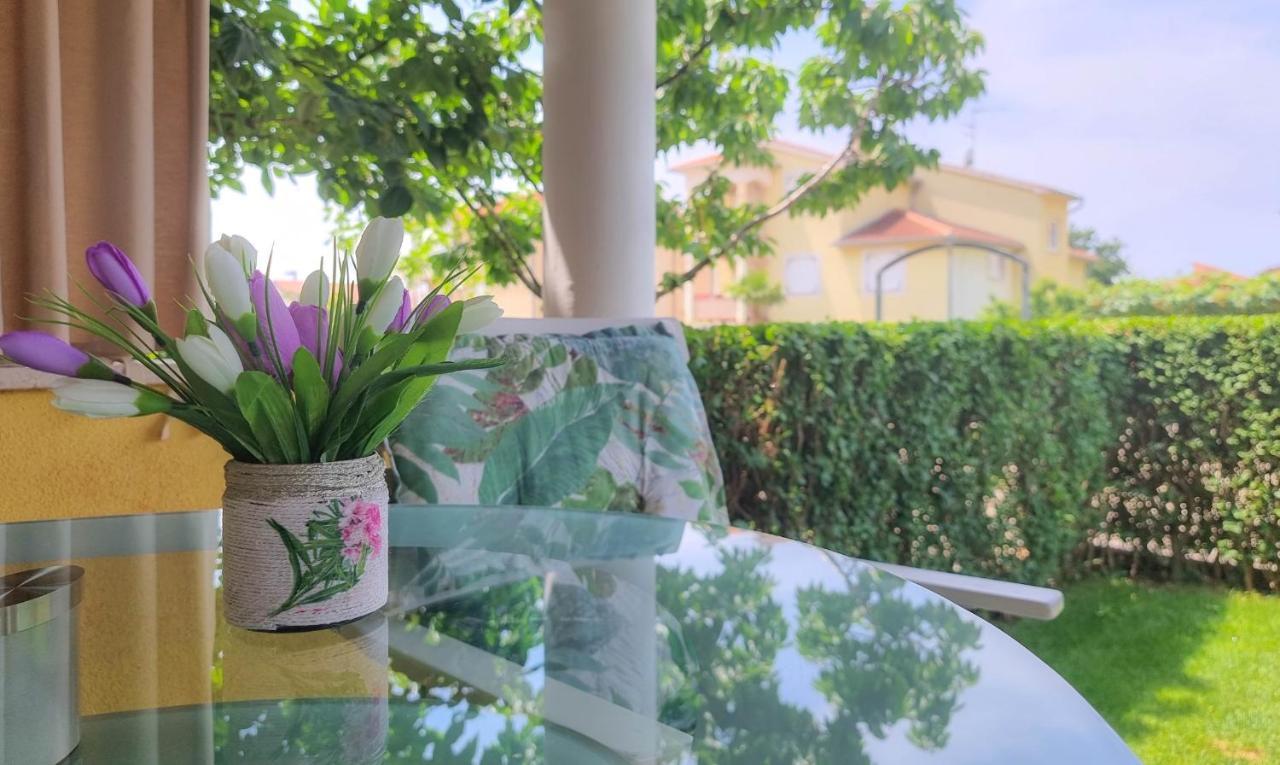 Roko Apartment Novigrad  Bagian luar foto