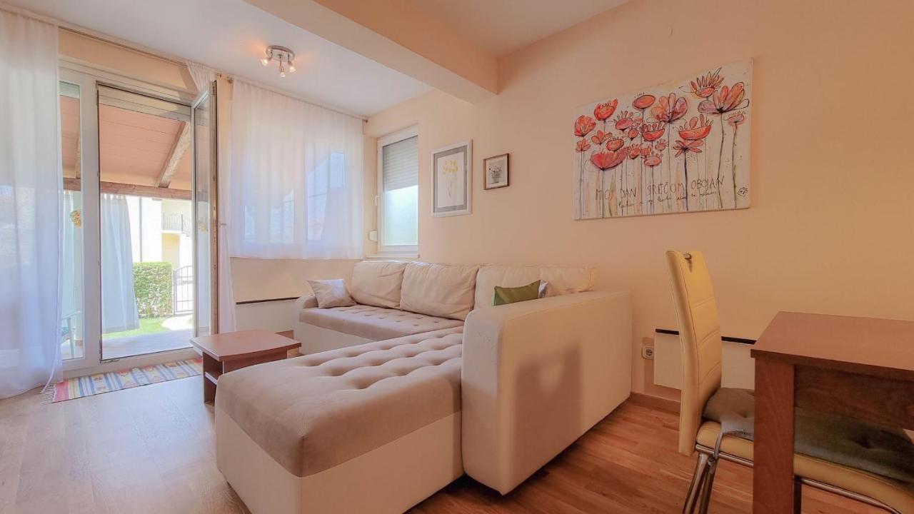 Roko Apartment Novigrad  Bagian luar foto